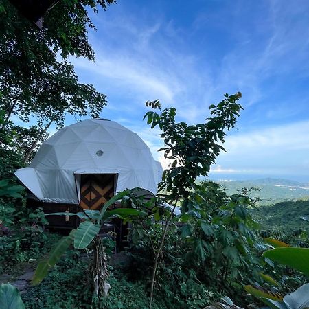 Trekker Glamping Hotel Minca Eksteriør billede