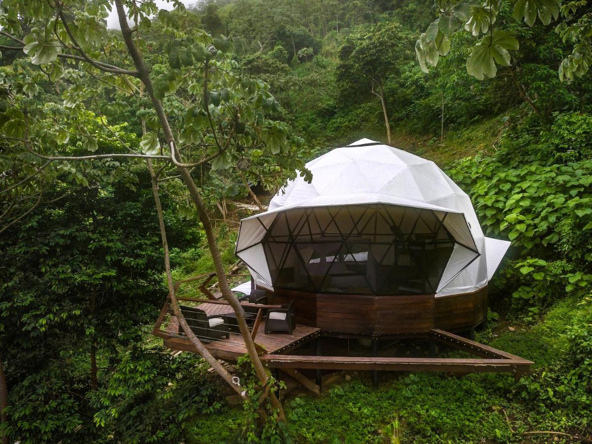 Trekker Glamping Hotel Minca Eksteriør billede