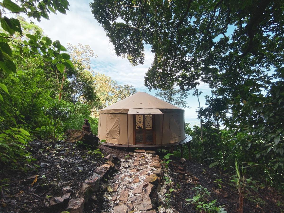 Trekker Glamping Hotel Minca Eksteriør billede